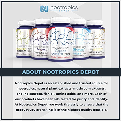 Nootropics Depot Agmatine Sulfate Capsules | 250mg | 240 Count | Energy Supplement Nootropics Depot uk supplements