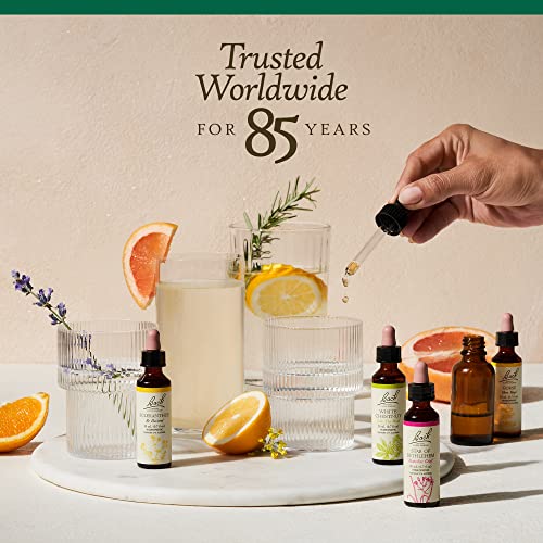 Bach Original Flower Remedies, Walnut for Adapting to Change (Non-Alcohol Formula) Bach uk supplements