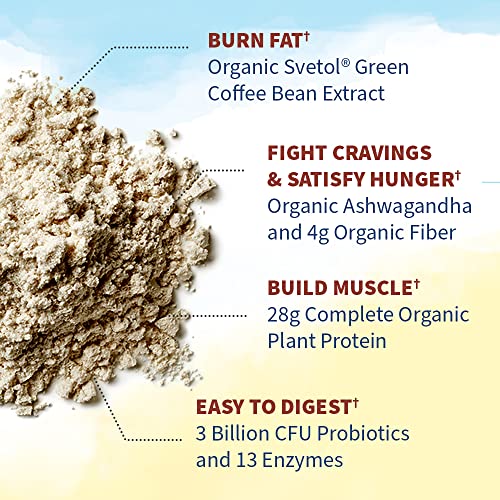 Garden of Life Raw Organic Fit Vegan Protein Powder Coffee, 28g Plant Based Protein Garden of Life uk supplements