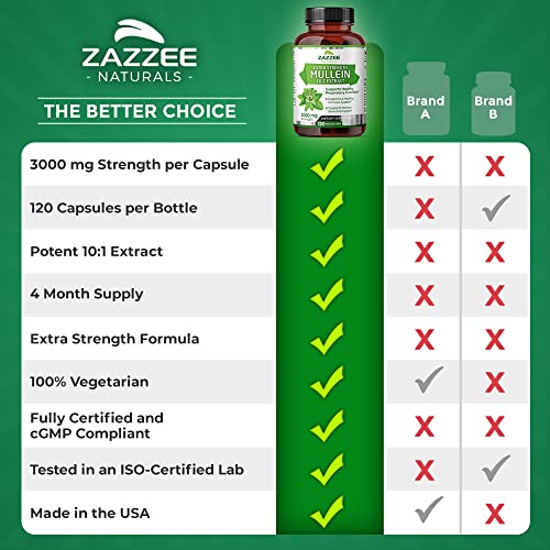 Zazzee Extra Strength Mullein 10:1 Extract, 3000 mg Strength, 120 Vegan Capsules Zazzee uk supplements