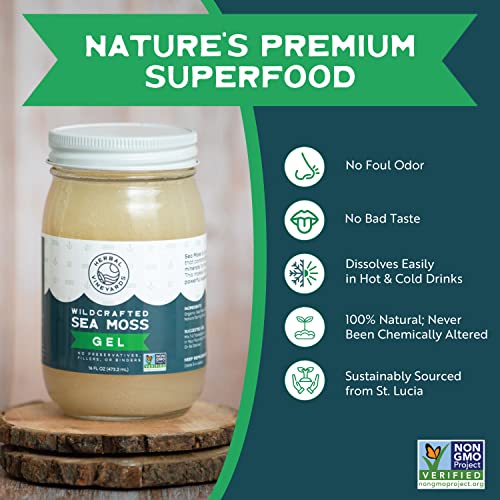 Herbal Vineyards Natural Organic Wildcrafted Gold Raw Sea Moss Gel for Immune Support Herbal Vineyards uk supplements