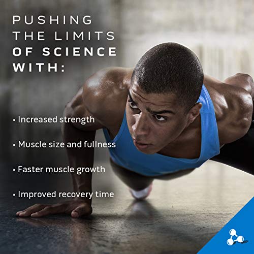 Creatine Monohydrate Powder MuscleTech Cell-Tech Creatine Powder Post Workout MuscleTech uk supplements