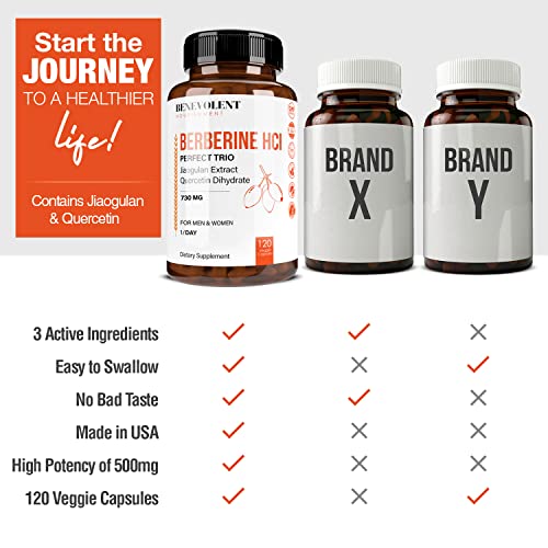 Premium Berberine HCL 730mg - 120 VCAPS Perfect Trio Complex with Non-GMO Jiaogulan Benevolent Nourishment uk supplements