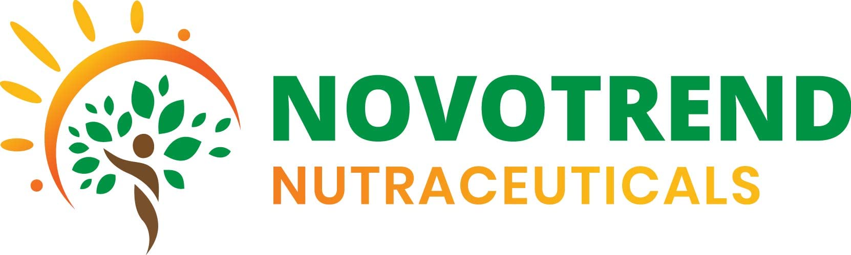 BIOBDMC NovoCurcumin-Next Generation Highly Enhanced Curcumin- 120 Capsules BIOBDMC uk supplements
