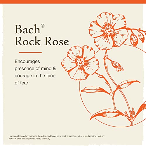 Bach Original Flower Remedies, Rock Rose for Courage (Non-Alcohol Formula), Natural Homeopathic Bach uk supplements
