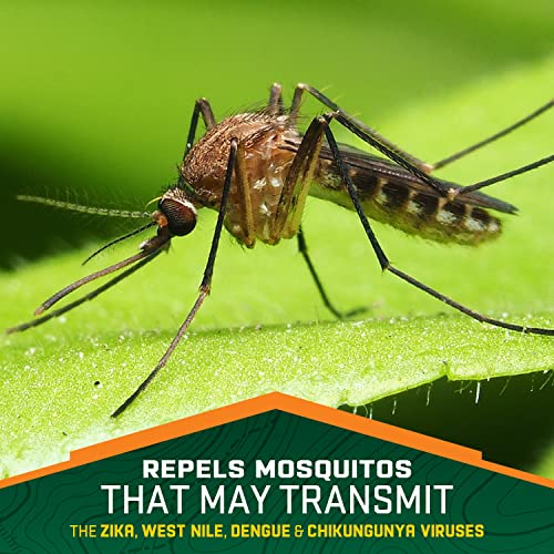 Repel 100 Insect Repellent, Pump Spray, 4-Fluid Ounces, 10-Hour Protec Repel uk supplements