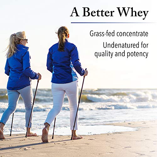 Whey Factors by Natural Factors, Grass Fed Whey Protein Concentrate, Aids Muscle Natural Factors uk supplements