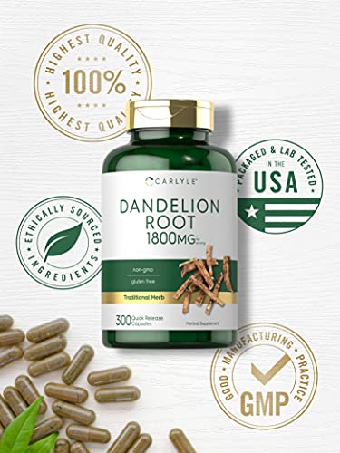 Carlyle Dandelion Root Capsules 1800mg | 300 Count | Non-GMO, Gluten Free Carlyle uk supplements