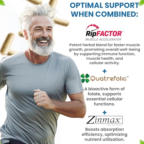 Advanced Muscle Building Supplement for Men with RipFactor, Zinc Picolinate, Vitamin D3 Revival Point uk supplements