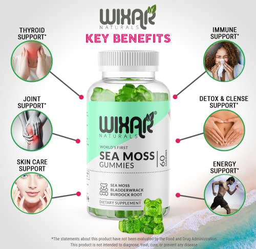 WIXAR NATURALS Sea Moss Gummies - Natural Irish Sea Moss and Bladderwrack WIXAR NATURALS uk supplements