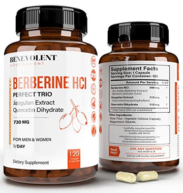 Premium Berberine HCL 730mg - 120 VCAPS Perfect Trio Complex with Non-GMO Jiaogulan Benevolent Nourishment uk supplements
