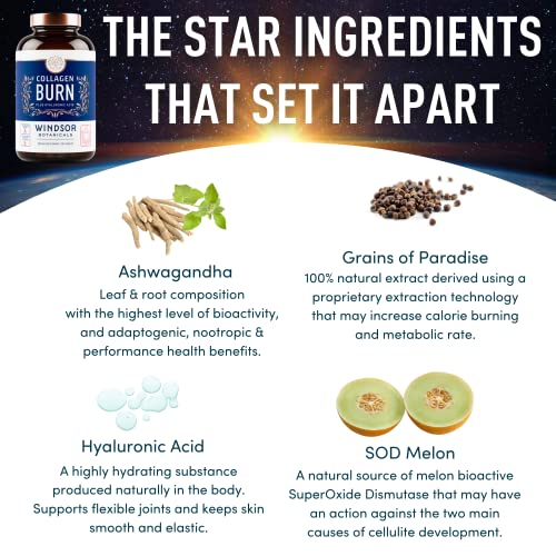 Thermogenic Multi Collagen Burn Capsules - Hydrolyzed Multi Collagen Complex Types WINDSOR BOTANICALS uk supplements