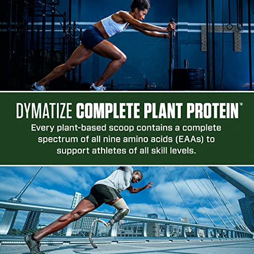 Dymatize Vegan Plant Protein, Smooth Vanilla, 25g Protein, 4.8g BCAAs, Complete Dymatize uk supplements
