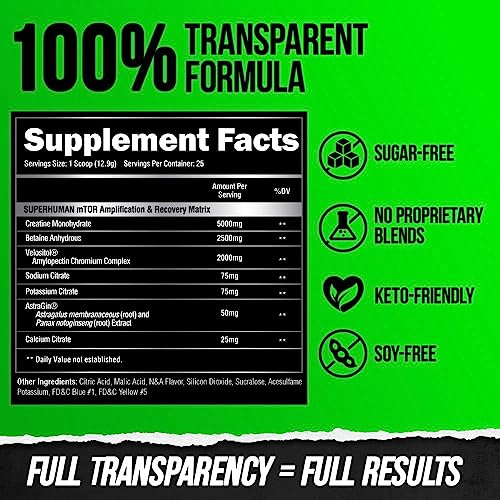 ALPHA LION Superhuman Pre Workout Powder & Post Workout Recovery Bundle, Sustained ALPHA LION uk supplements