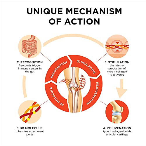 Collanol - Innovation in The Care of Healthy Joints - Liquid Formula in a Double Capsule 3D Collagen Collanol uk supplements