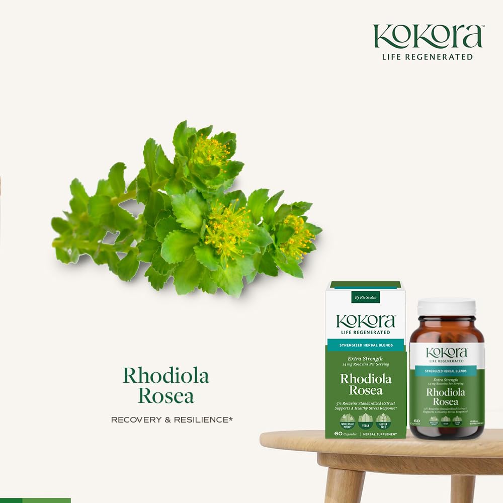 kokora Extra Strength Rhodiola Rosea – Stress Relief, Endurance & Promotes Mental & Physical Performance* - with Siberian Rhodiola, Rosavins, Organic Holy Basil - Vegan, Non-GMO - 60 Capsules kokora uk supplements