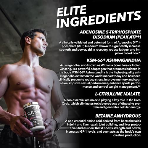 SteelFit Steel Pump - Advanced Pre-Workout Powder Drink - 30 Servings - Peak Performance SteelFit uk supplements
