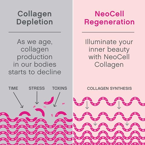 NeoCell Super Collagen Powder, 10g Collagen Peptides per Serving, Gluten Free NeoCell uk supplements