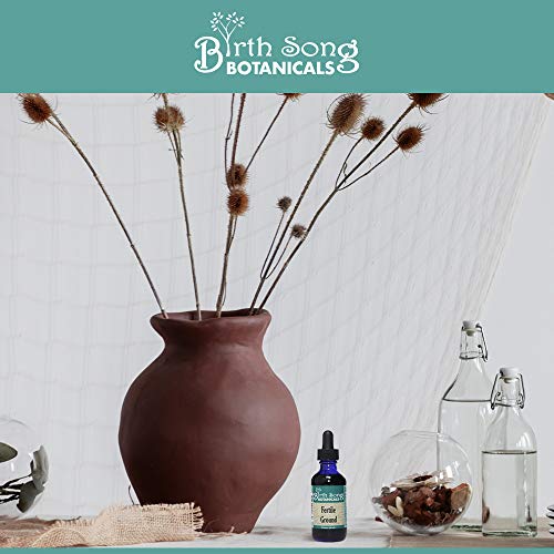 Birth Song Botanicals Fertile Ground Fertility Liquid Tincture, Herbal Supplement to Help Regulate Birth Song Botanicals uk supplements