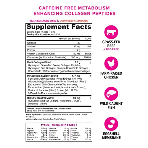 Multi Collagen Burn: Multi-Type Hydrolyzed Collagen Protein Peptides with Hyaluronic Acid Vitauthority uk supplements