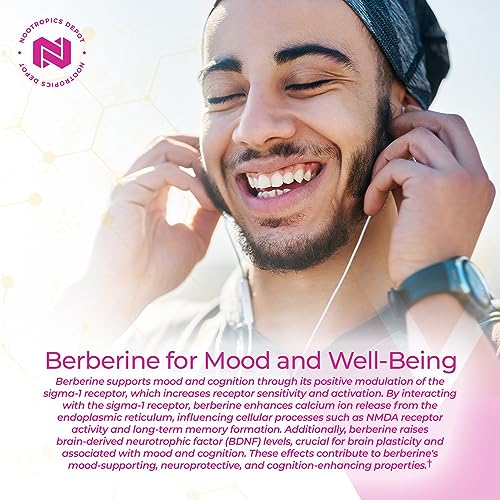 Nootropics Depot Berberine HCL + Silymarin Capsules | 500mg + 90mg | 180 Count Nootropics Depot uk supplements