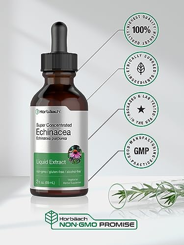 Echinacea Drops Liquid Extract | 2 fl oz | Super Concentrated Tincture | Alcohol Free Horbäach uk supplements