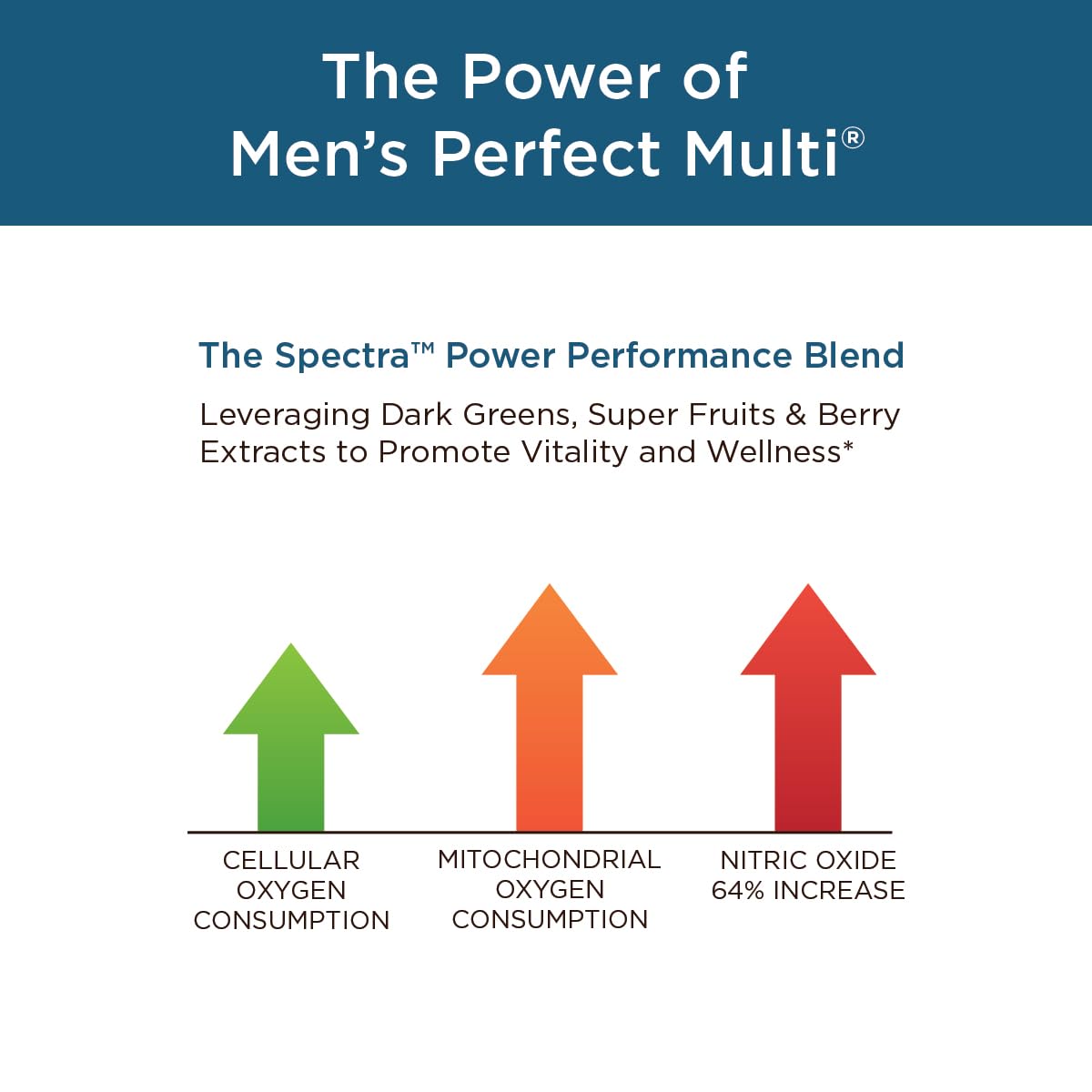 Purity Products Men's Perfect Multi from Vitamins, Minerals and Phytonutrients - Promotes Energy, Vitality and Stamina - Easy to Swallow - 90 Tablets Purity Products uk supplements