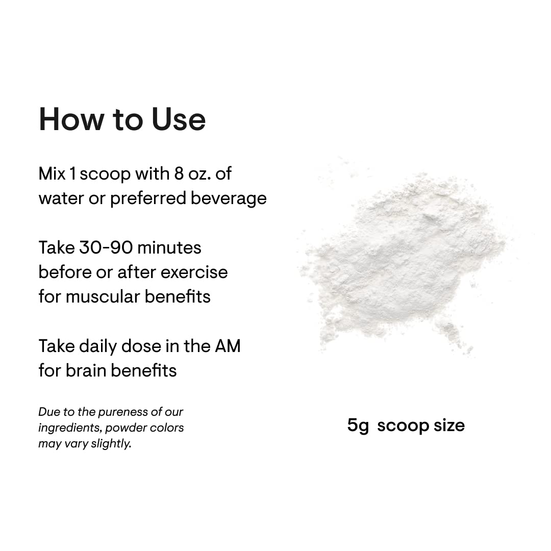 THORNE Creatine - Creatine Monohydrate, Amino Acid Powder - Support Muscles THORNE uk supplements