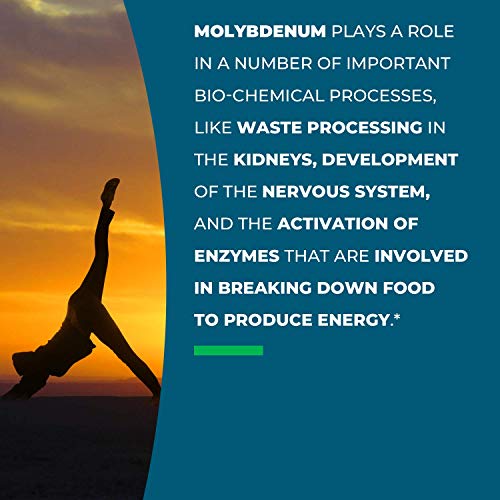 Seeking Health Molybdenum 500, Molybdenum Glycinate Chelate Supplement Seeking Health uk supplements