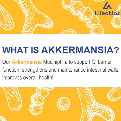 300 Billion AFU Akkermansia Muciniphila - Live Akkermansia Probiotics for Women & Men Lifeatlas uk supplements