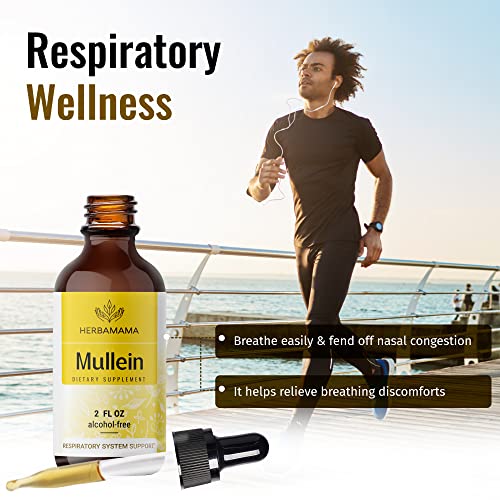 Mullein Leaf Tincture - Lung Cleanse - Vegan Lung Detox - Respiratory Health HERBAMAMA uk supplements