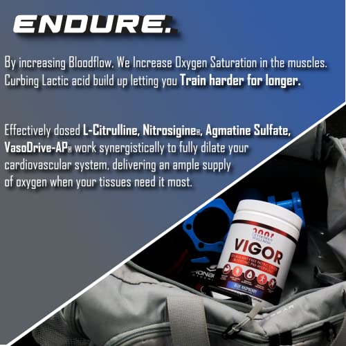 Leviathan Wellness Vigor - Stimulant Free, Nitric Oxide Boosting Pre-Workout Powder Leviathan Wellness uk supplements