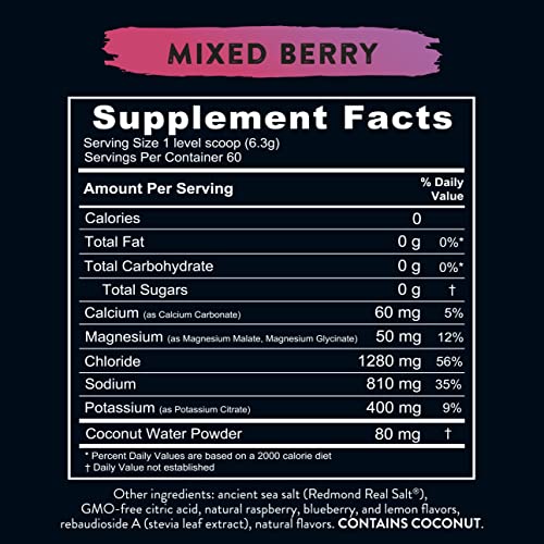 REDMOND Re-Lyte Hydration Electrolyte Mix (Mixed Berry) REDMOND uk supplements