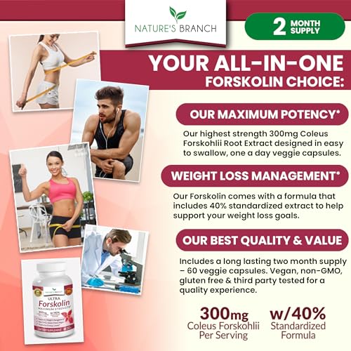 Premium 100% Ultra Pure Forskolin for Weight Loss Max Strength w/ 40% Standardized Nature's Branch uk supplements