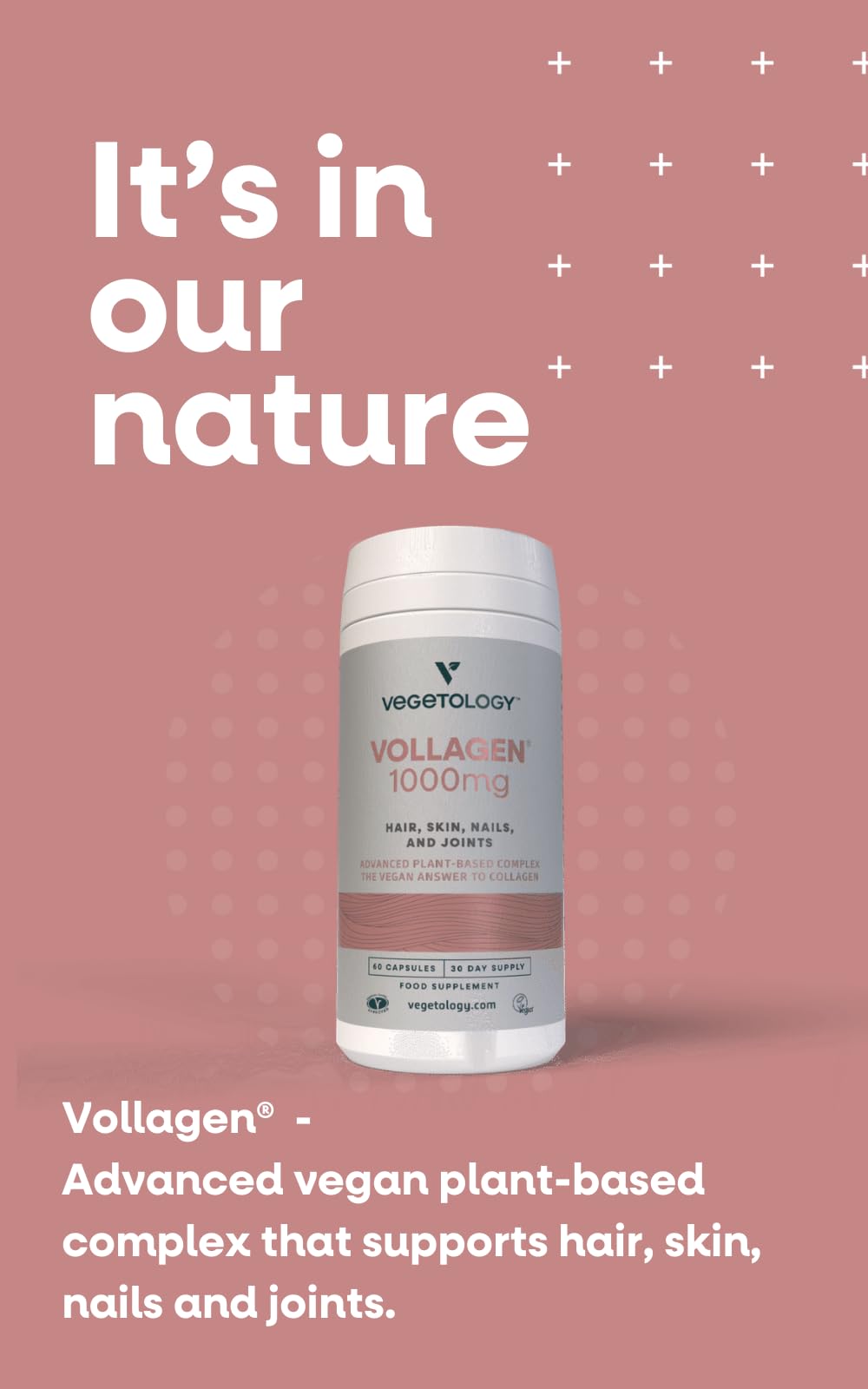 Vegetology Vollagen® Plant Based Complex – Plant Based Protein Alternative to Collagen VEGETOLOGY uk supplements