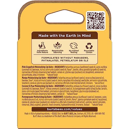 Burt's Bees 100% Natural Moisturizing Lip Balm (Superfruit) Burt's Bees uk supplements
