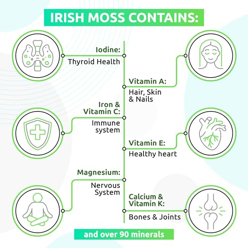 TrueSeaMoss Wildcrafted Irish Sea Moss Gel – Nutritious Raw Seamoss Rich in Minerals TrueSeaMoss uk supplements