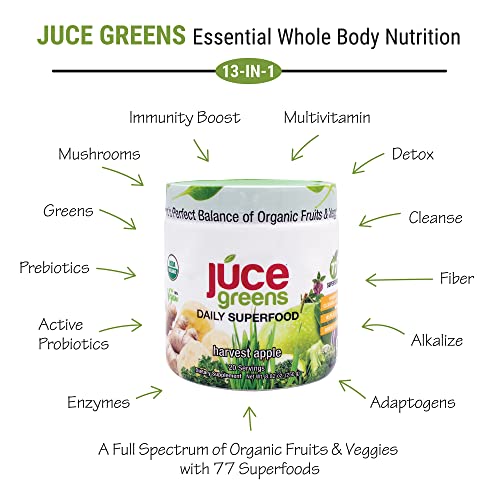 Terra Kai Organics JUCE Green Superfood Powder, Organic Fruits and Veggies Supplement Terra Kai Organics uk supplements