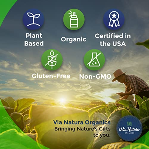 Via Natura Organics Apple Cider Vinegar Capsules 1000mg | Organic Herbal Supplement Via Natura Organics uk supplements