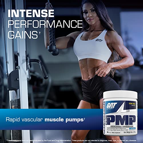 GAT SPORT PMP (Peak Muscle Performance), Pre-Workout, 30 Servings (Blue Raspberry GAT SPORT uk supplements