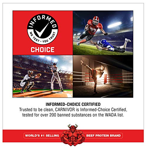 MuscleMeds, Carnivor Beef Protein Isolate Powder 56 Servings, Chocolate, 72 Ounce MuscleMeds uk supplements