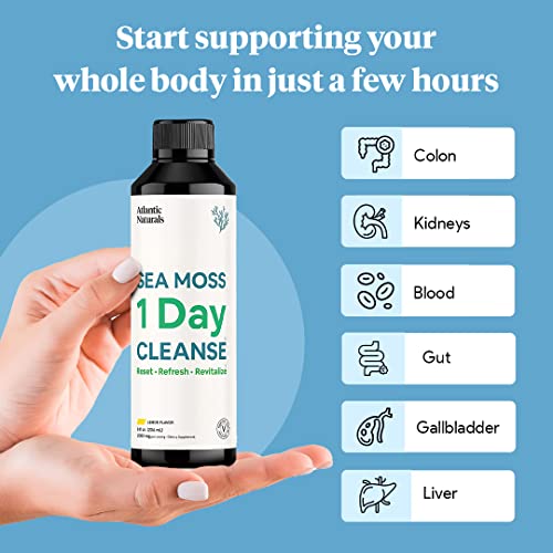 Sea Moss 1 Day Cleanse - Full Body Detox to support bowel movements, Kidney Health Atlantic Naturals uk supplements