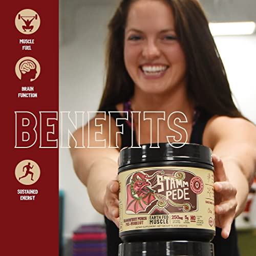 Earth Fed Muscle Stammpede DragoFruit Punch Pre Workout, 30 Servings, Boost Energy Earth Fed Muscle uk supplements
