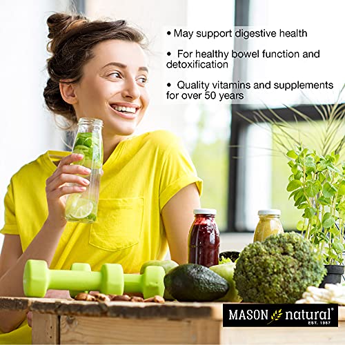 MASON NATURAL Peppermint Oil 50 mg Enteric Coated - Natural Gastrointestinal Comfort MASON NATURAL uk supplements