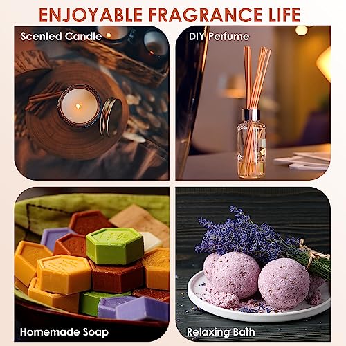 Autumn Fragrance Oil Set, Premium Fall Essential Oils for Diffuser and Candle Making -Cinnamon ARVIDSSON uk supplements