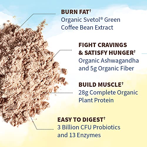 Garden of Life Raw Organic Fit Vegan Protein Powder Chocolate, 28g Plant Based Protein Garden of Life uk supplements
