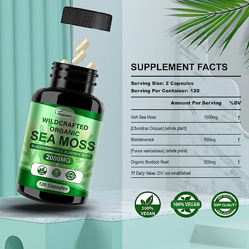 Fleamart 2 Pack Irish Sea Moss Capsules 120ct Raw Organic Sea Moss Wildcrafted Bladder Fleamart uk supplements