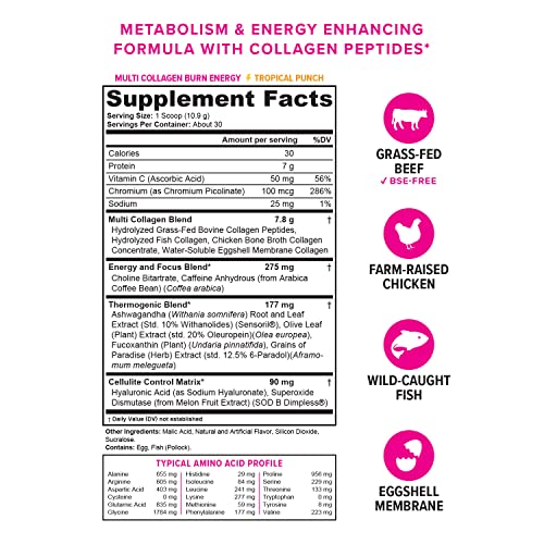 Multi Collagen Burn: Multi-Type Hydrolyzed Protein Peptides with Hyaluronic Acid, Vitamin Vitauthority uk supplements