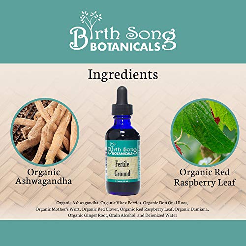 Birth Song Botanicals Fertile Ground Fertility Liquid Tincture, Herbal Supplement to Help Regulate Birth Song Botanicals uk supplements
