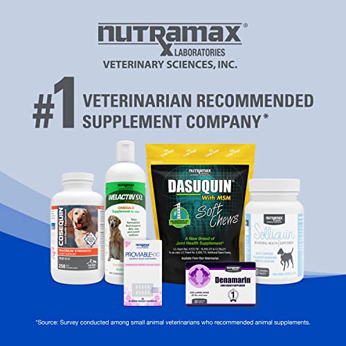 Nutramax Cobalequin B12 Supplement for Cats and Small Dogs, 45 Count (Pack of 1) Nutramax Laboratories uk supplements